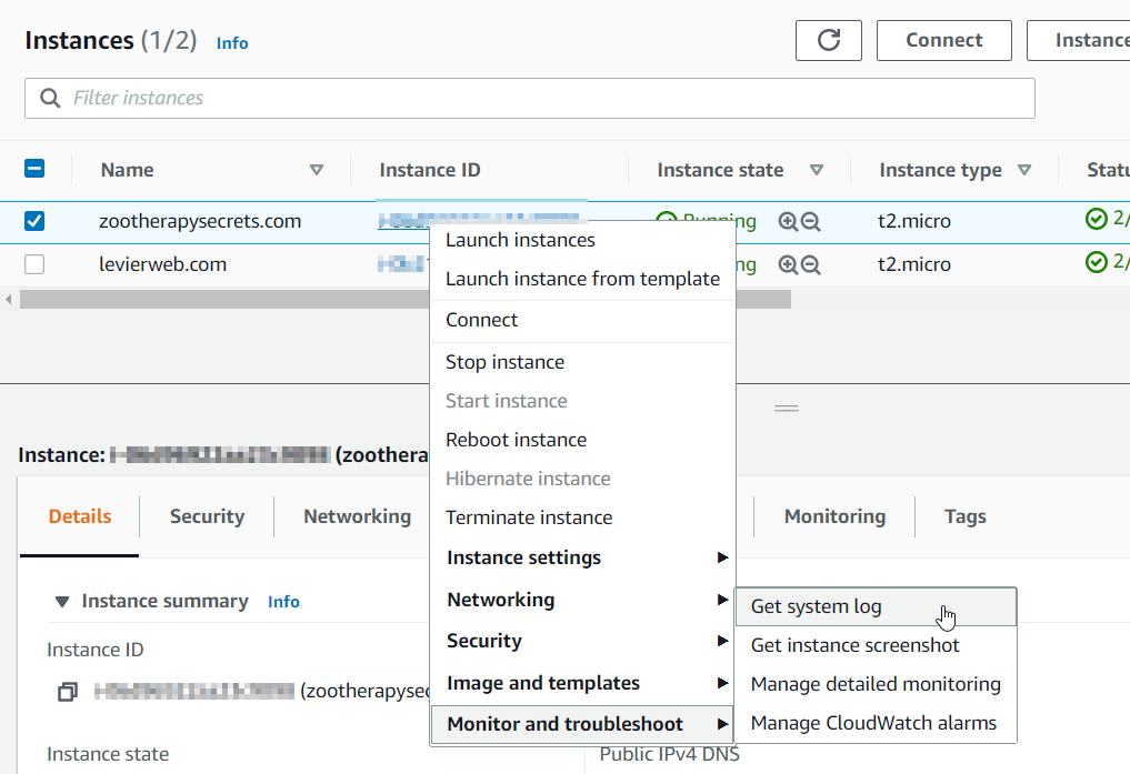 aws-instance-ec2-13 aws-instance-ec2-13