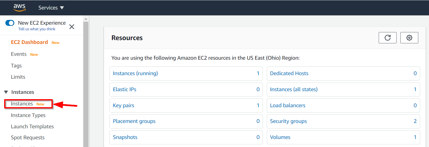 aws-intance-ec2-1 aws-intance-ec2-1