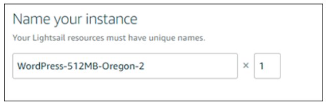 Name-Your-Instance